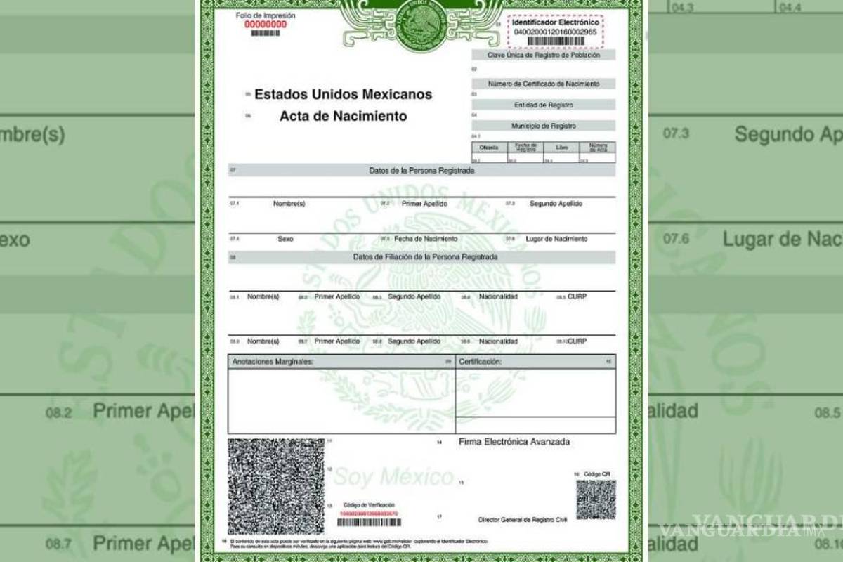 Acta de Nacimiento en línea... ¿Qué hago si no la encuentro en Internet para descargar en PDF?
