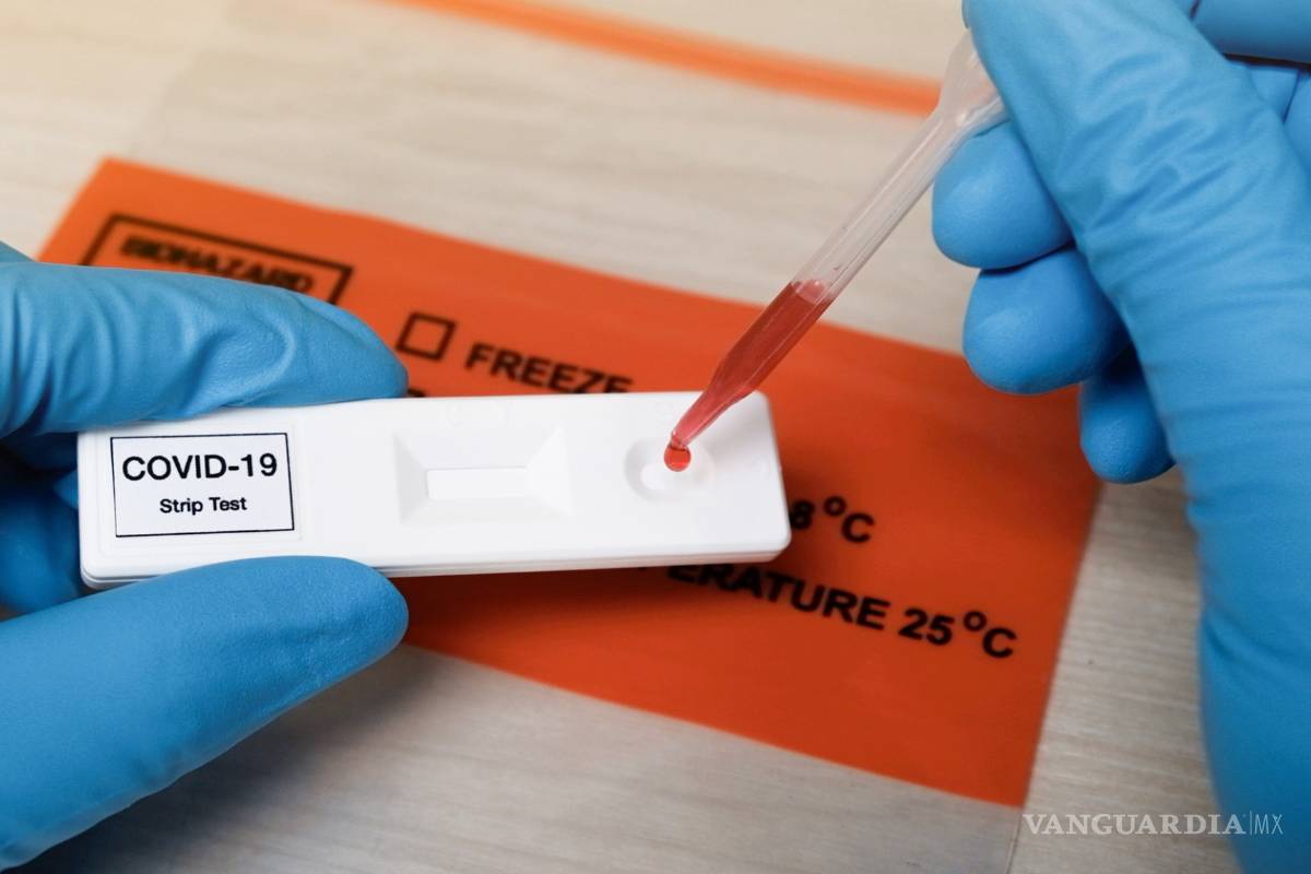 Estudio revela que anticuerpos contra COVID-19 de pacientes contagiados durarían tres meses en promedio