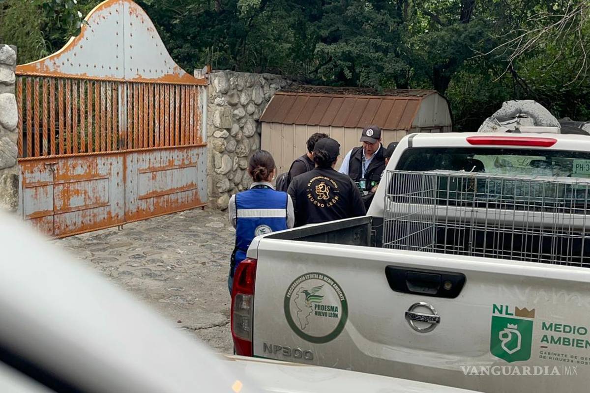 Por maltrato animal, clausuran criadero de perros en Nuevo León