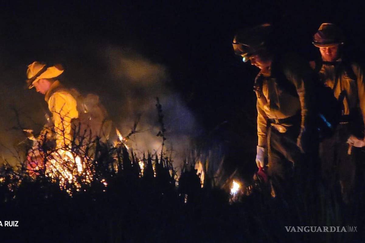 Combaten en Nuevo León incendio forestal originado en SLP