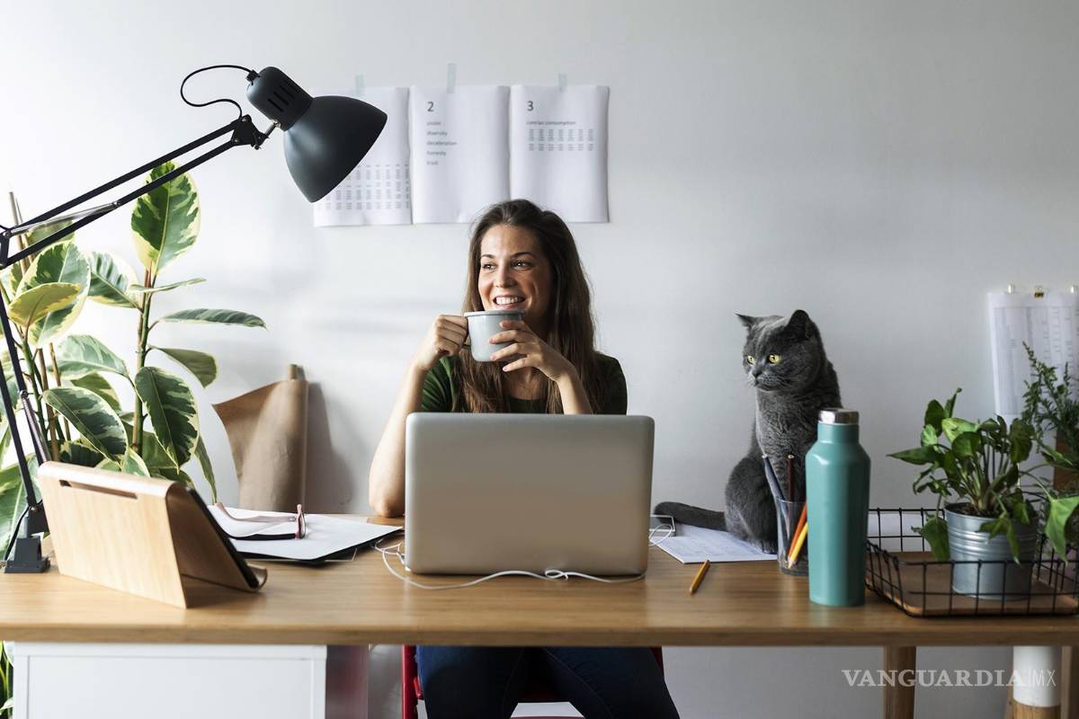 Prevén repunte del trabajo híbrido en 2022