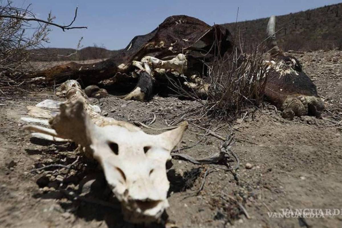 Coahuila está bajo amenaza de quedarse sin agua en 2050: S&amp;P