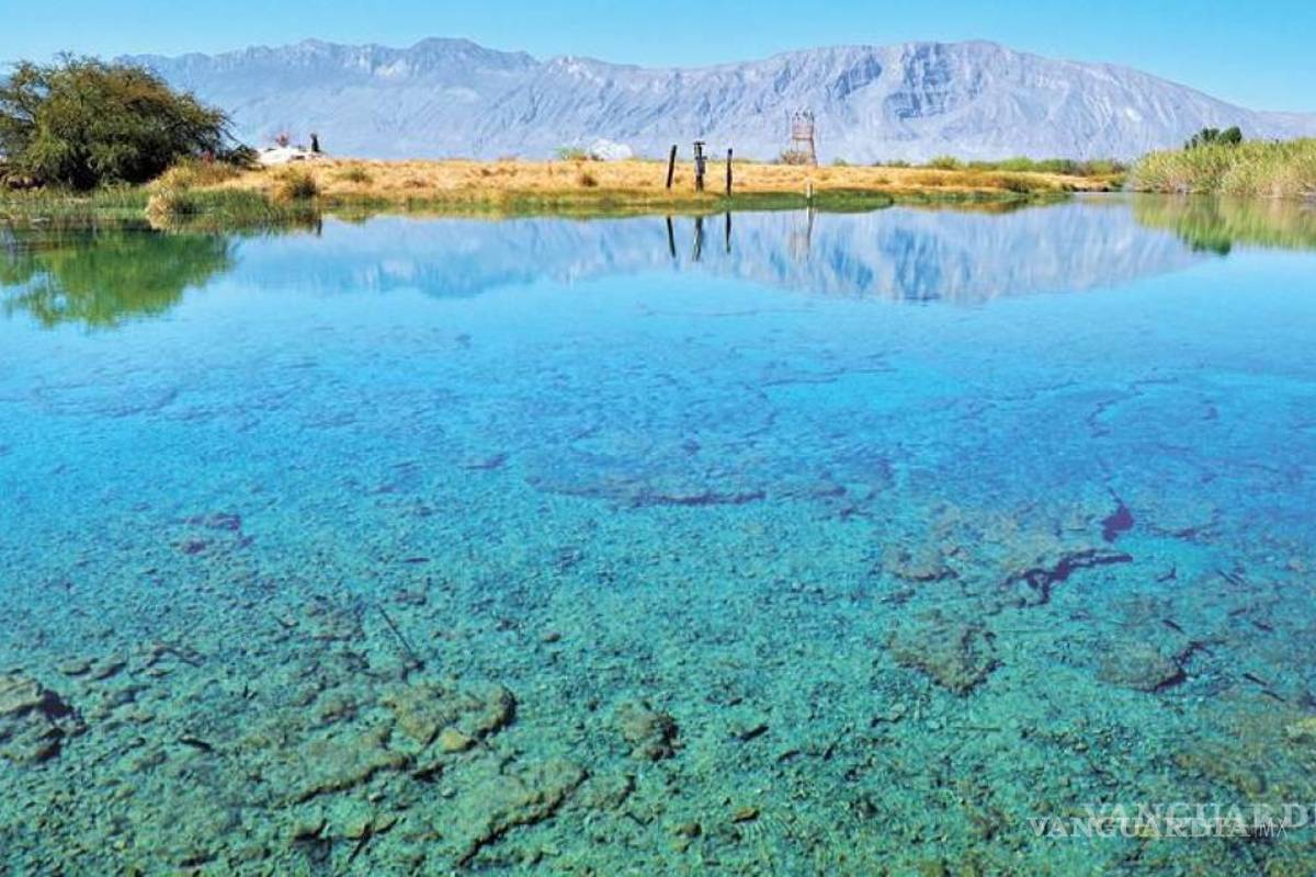 $!Cuatrociénegas se distingue por sus espacios naturales.