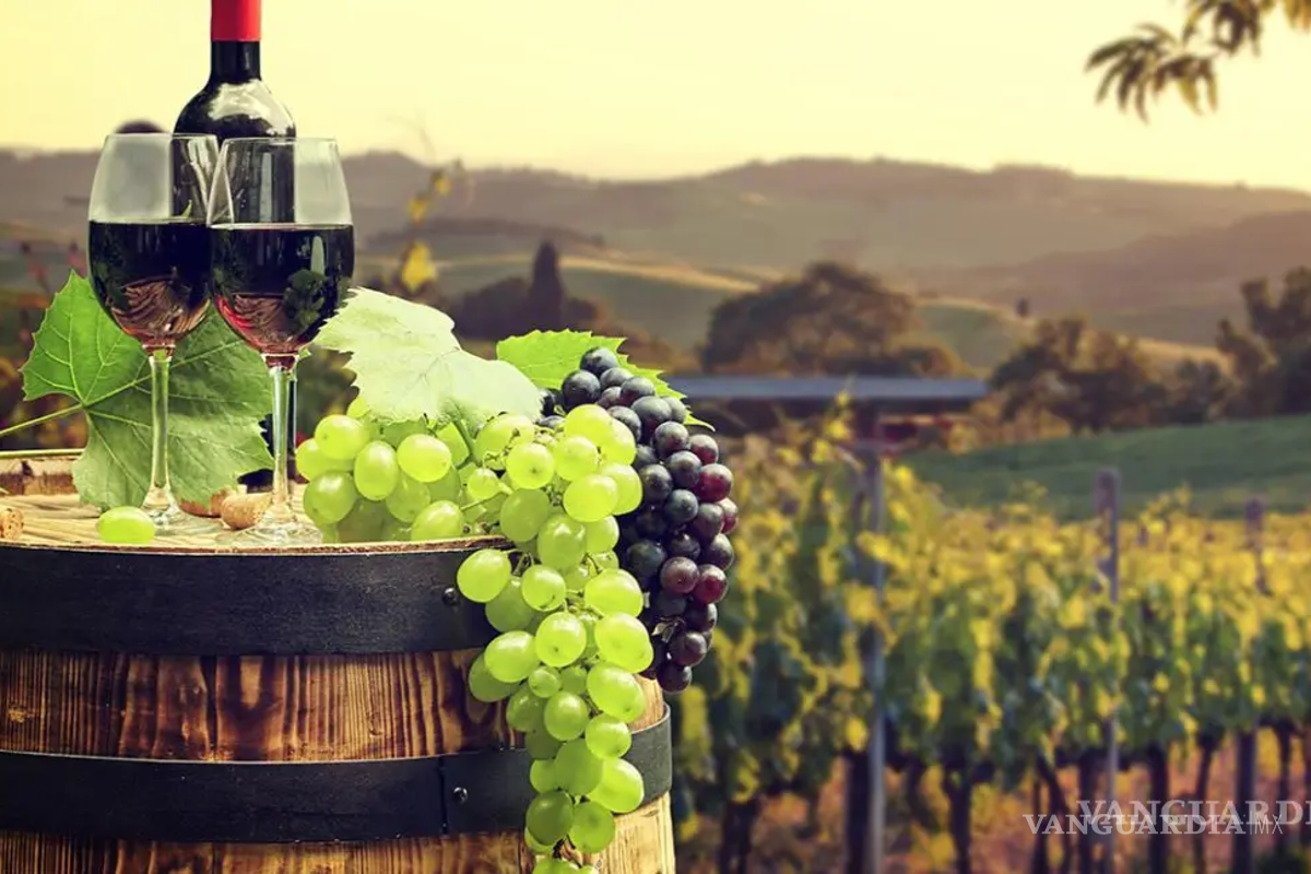 Impulsa Ramos Arizpe su propia ruta vitivinícola y paleontológica