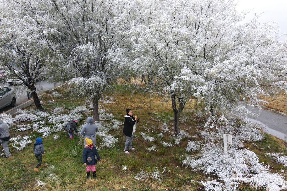 ¿Otro mega apagón en México? Sistema eléctrico, CRE y CFE en alerta por frío