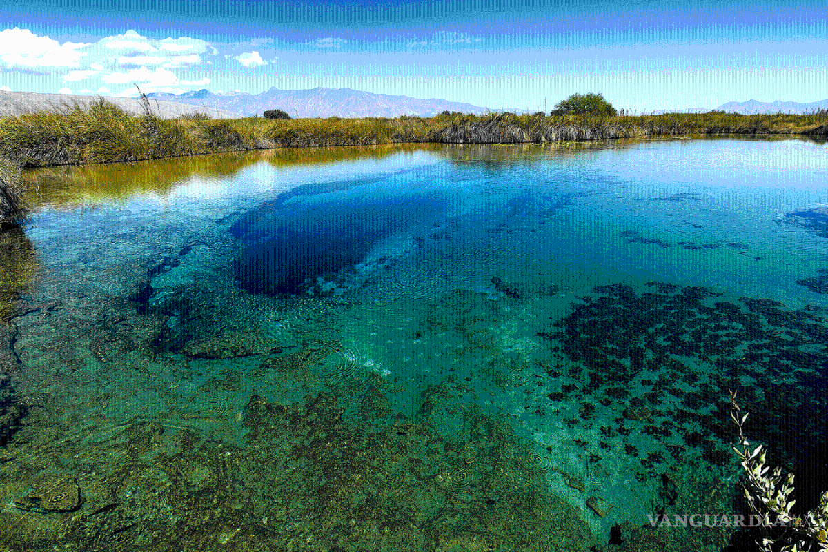 Cinco datos curiosos que seguramente no conoces de Coahuila