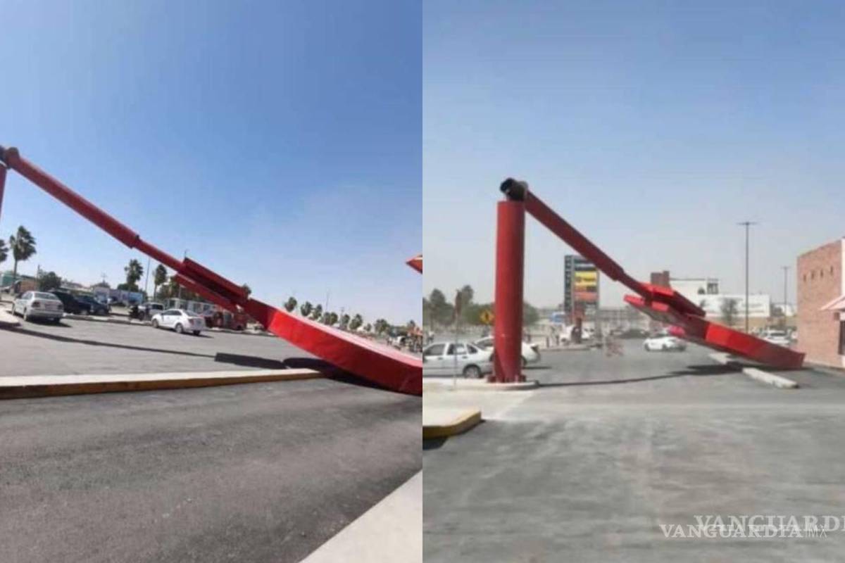 Tolvanera arrancó 40 árboles en Torreón; vientos alcanzaron 80 kilómetros por hora