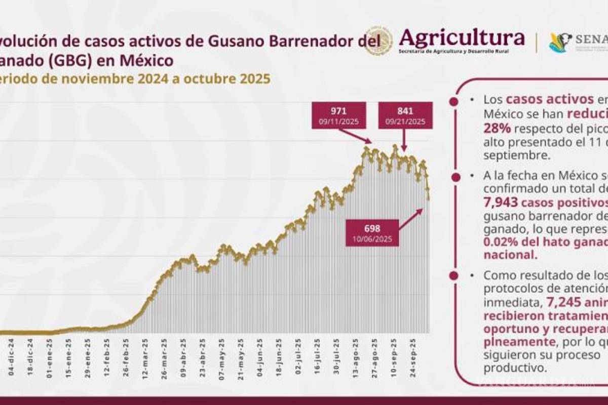 $!Del 11 de septiembre al 6 de octubre, los casos de gusano barrenador de ganado disminuyeron de 971 a 698, lo que representa una reducción del 28 % gracias a las medidas de control implementadas.