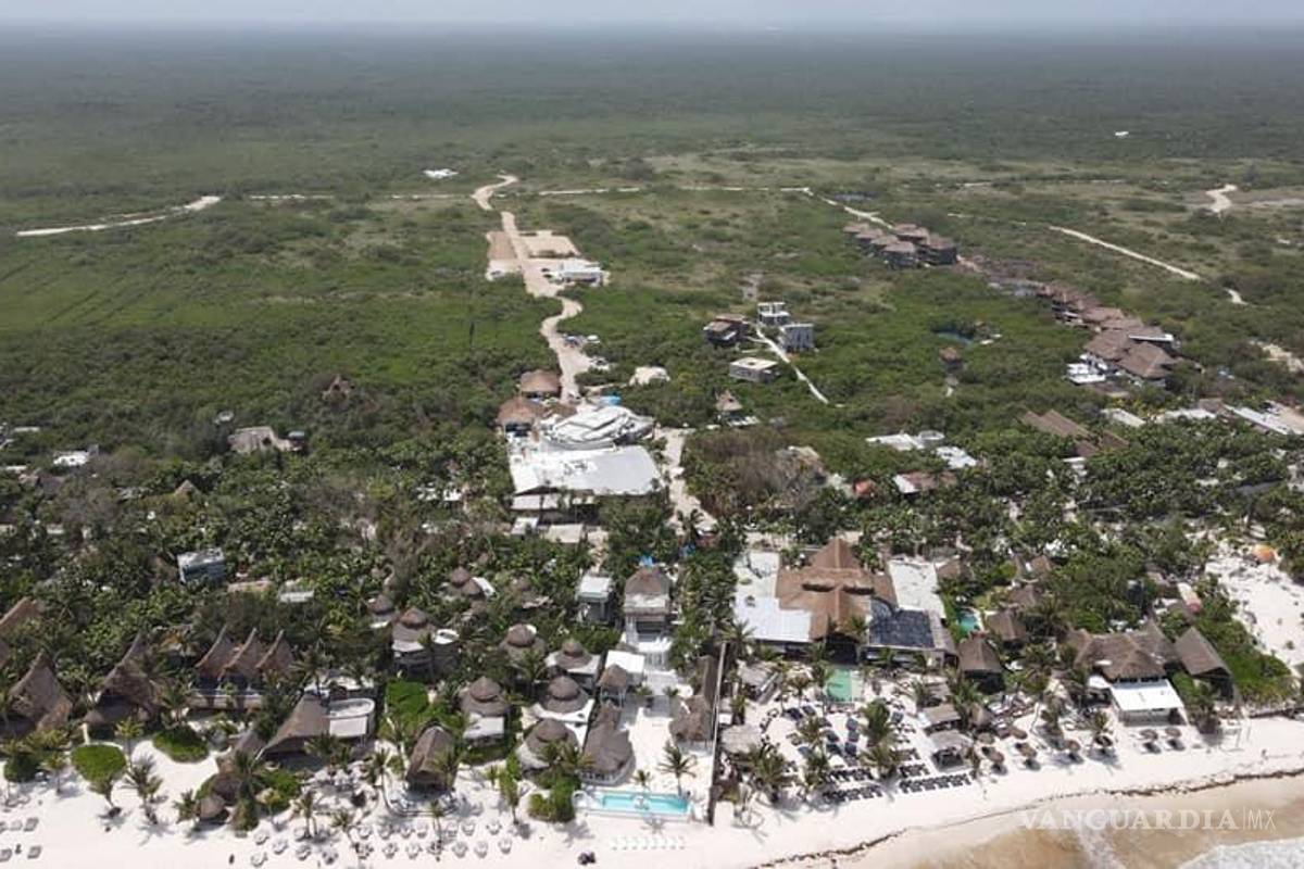 Construyen condominios en Tulum cerca de nidos de tortugas, denuncian