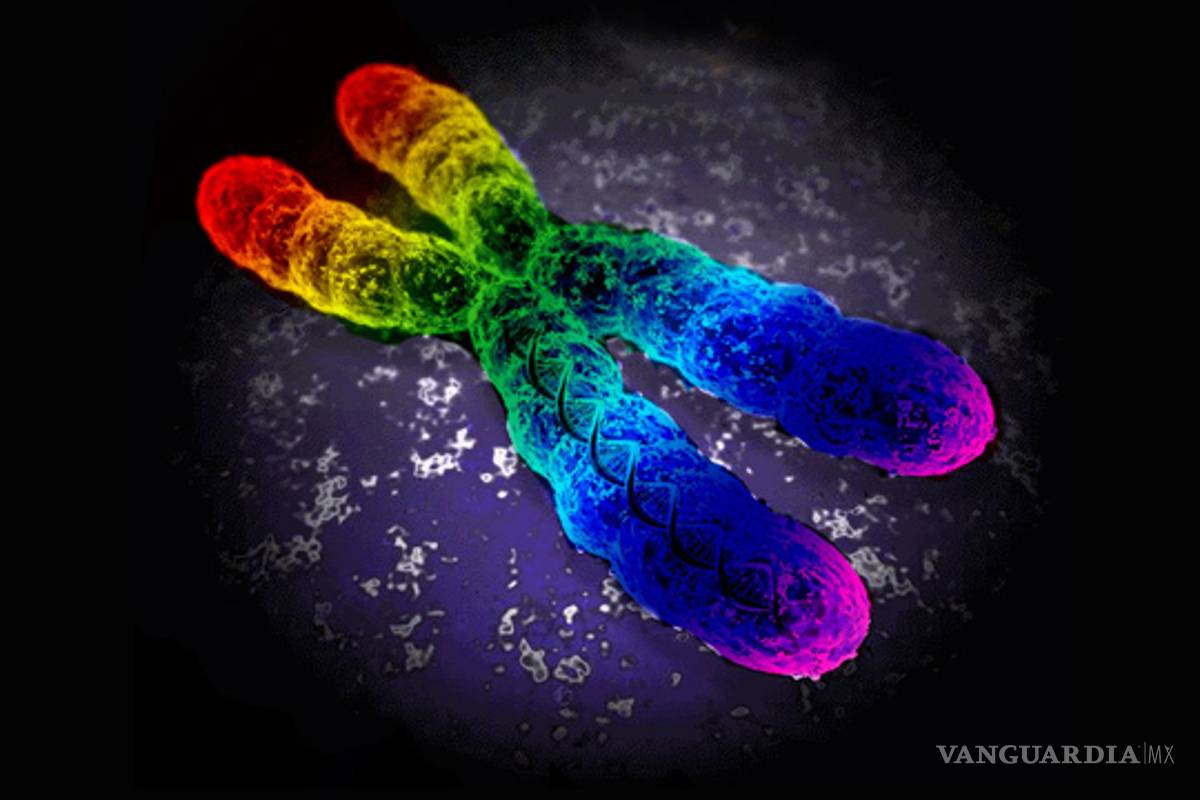 Los gays ¿nacen o se hacen?: implicaciones socioculturales y religiosas