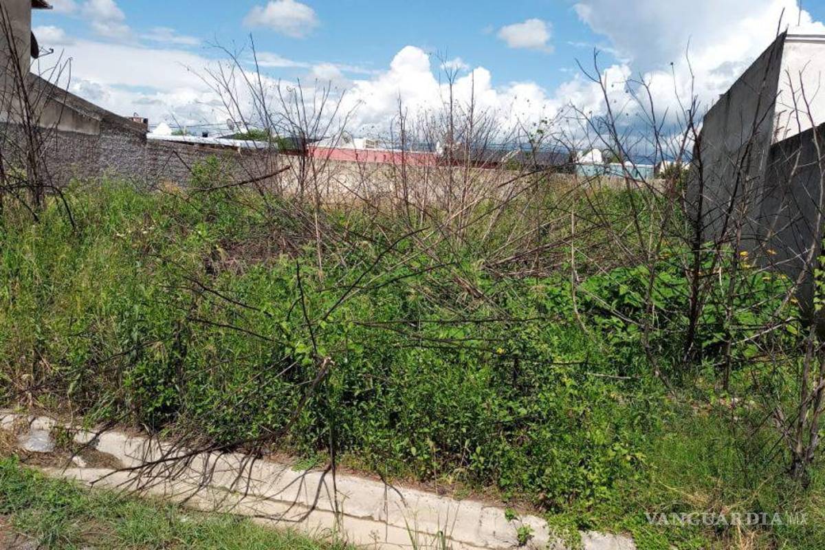 Ecología de Acuña actúa contra dueños de lotes baldíos en abandono; ‘son foco de infección’