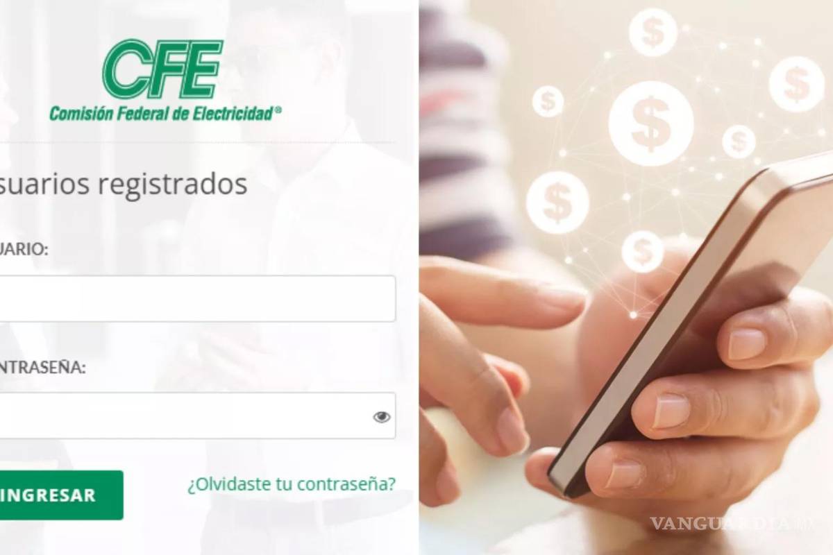 No hagas filas en la CFE... ¿Cómo puedo pagar el recibo de luz en línea, en la app y qué requisitos me piden?