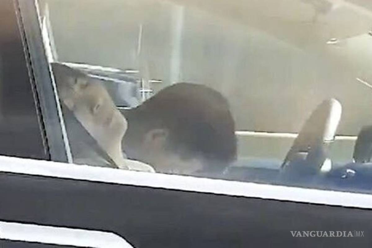 Conductor de un Tesla se queda dormido, dejando que se conduzca solo en una autopista