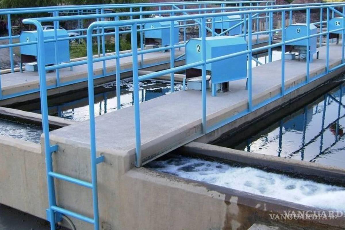 Nueva administración de Simas Piedras Negras aligerará burocracia para eficientar servicio