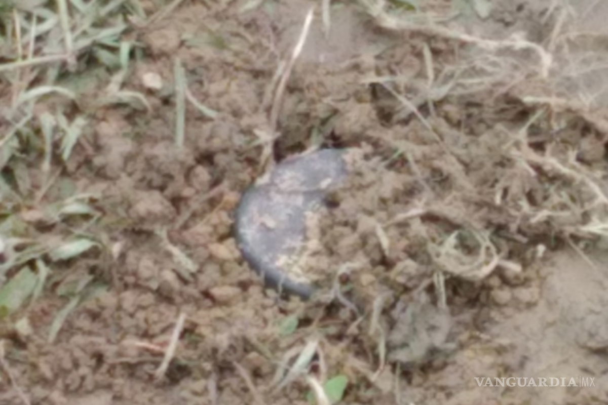 Muere por presuntamente activar mina terrestre en Doctor Coss, Nuevo León