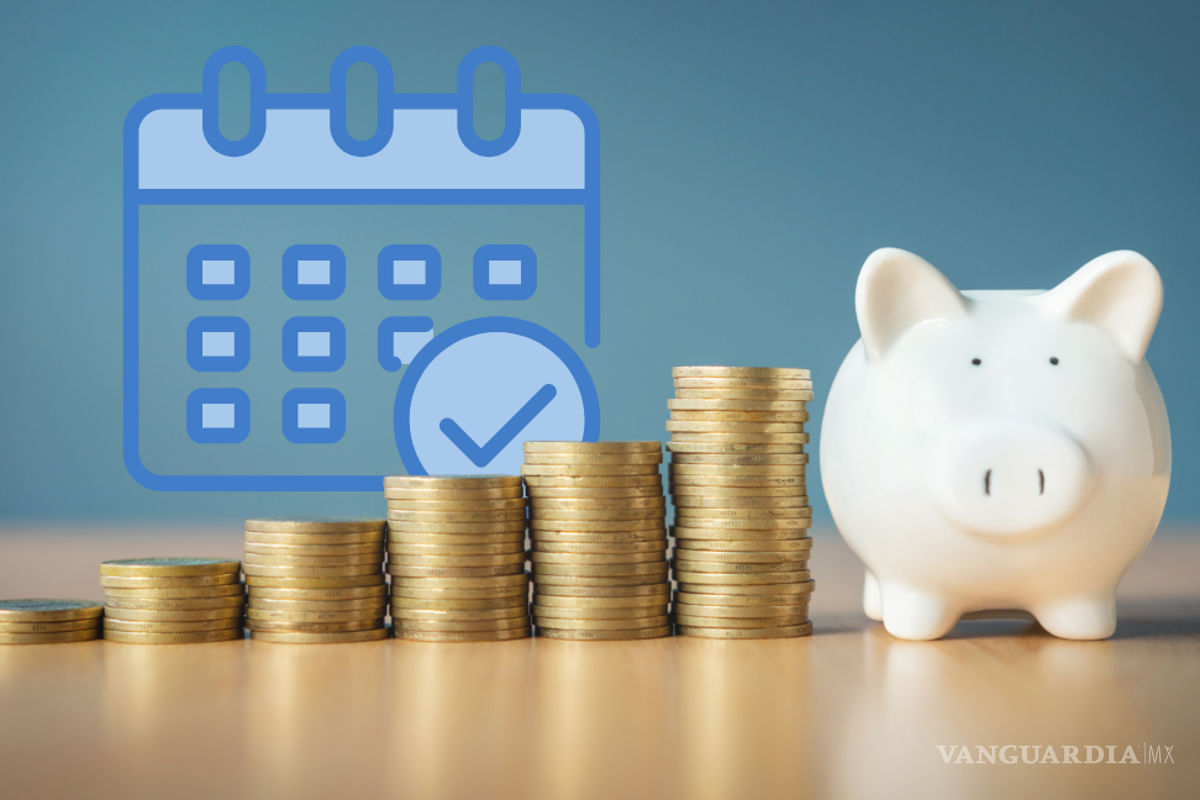 ¿Cuándo y cómo puede retirarse dinero de una Afore antes de la jubilación?