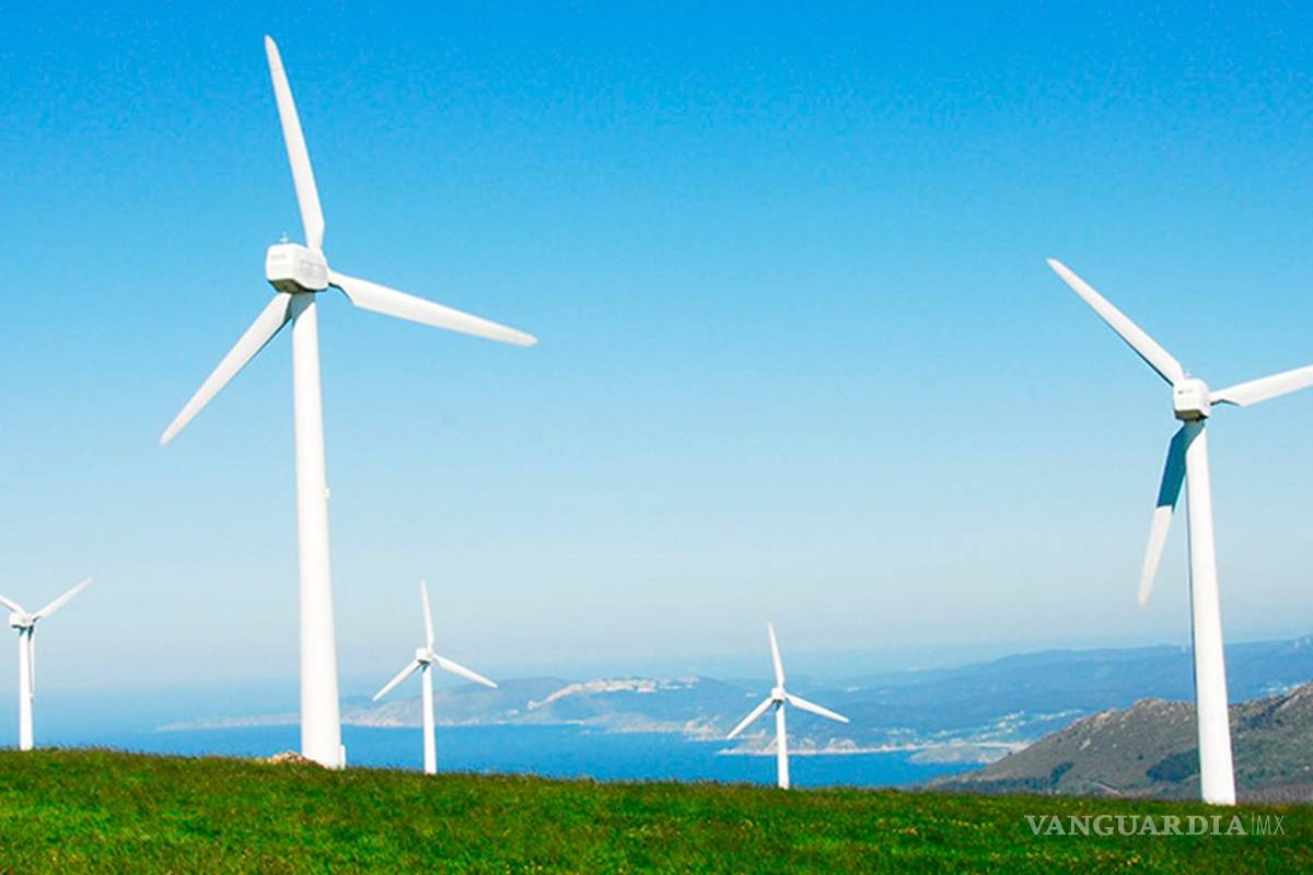 Día Mundial del Medio Ambiente: México atraviesa un momento crítico en materia de energías renovables, advierte la WWF