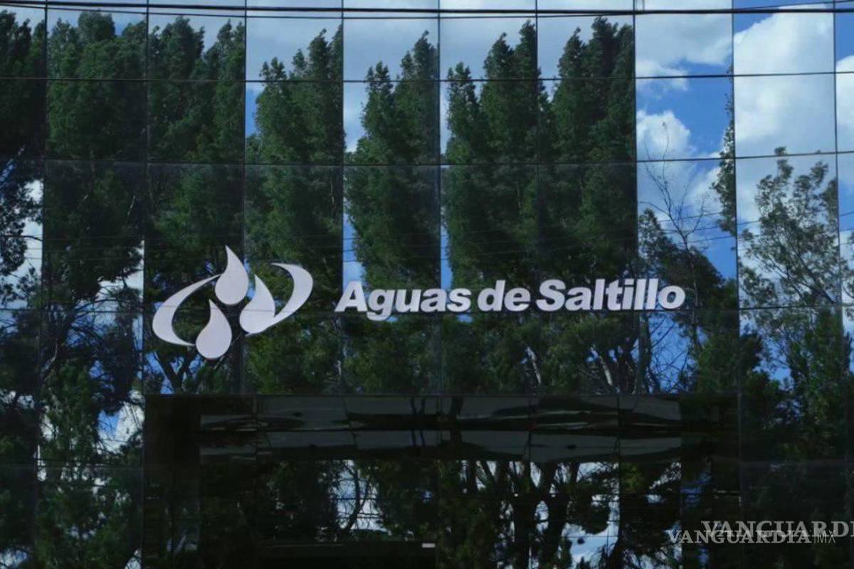 Agsal pide no regar el jardín durante el día ni lavar el auto para ahorrar agua