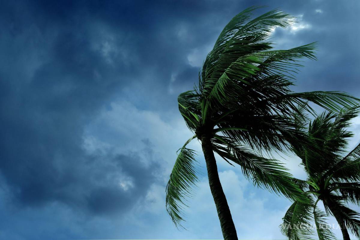 Priscilla pierde fuerza y se convierte en tormenta tropical; continúa en paralelo a Baja California Sur