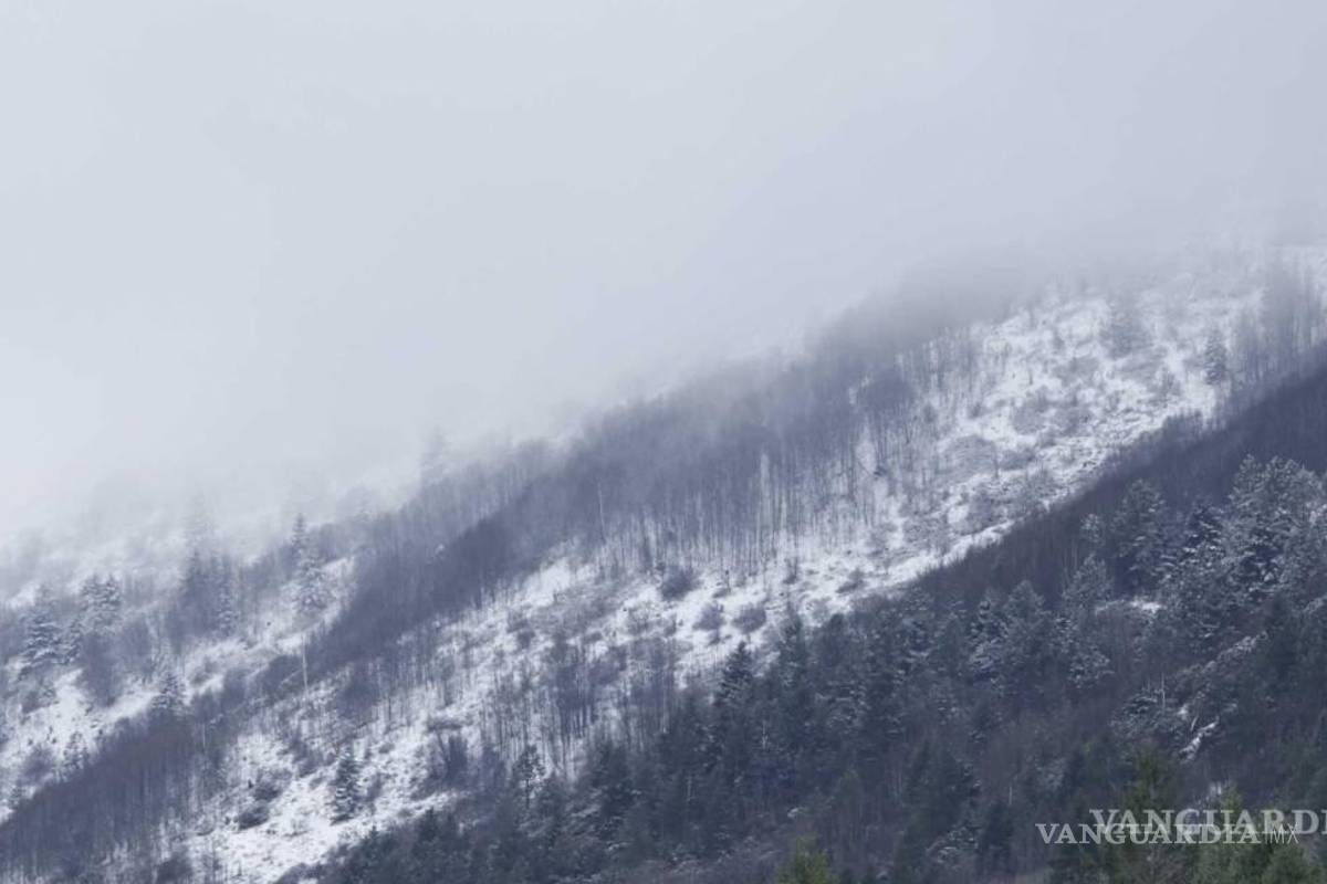 ¡Abríguese!... Frente frío 29 golpeará a Coahuila; prevén caída de aguanieve y bajas temperaturas