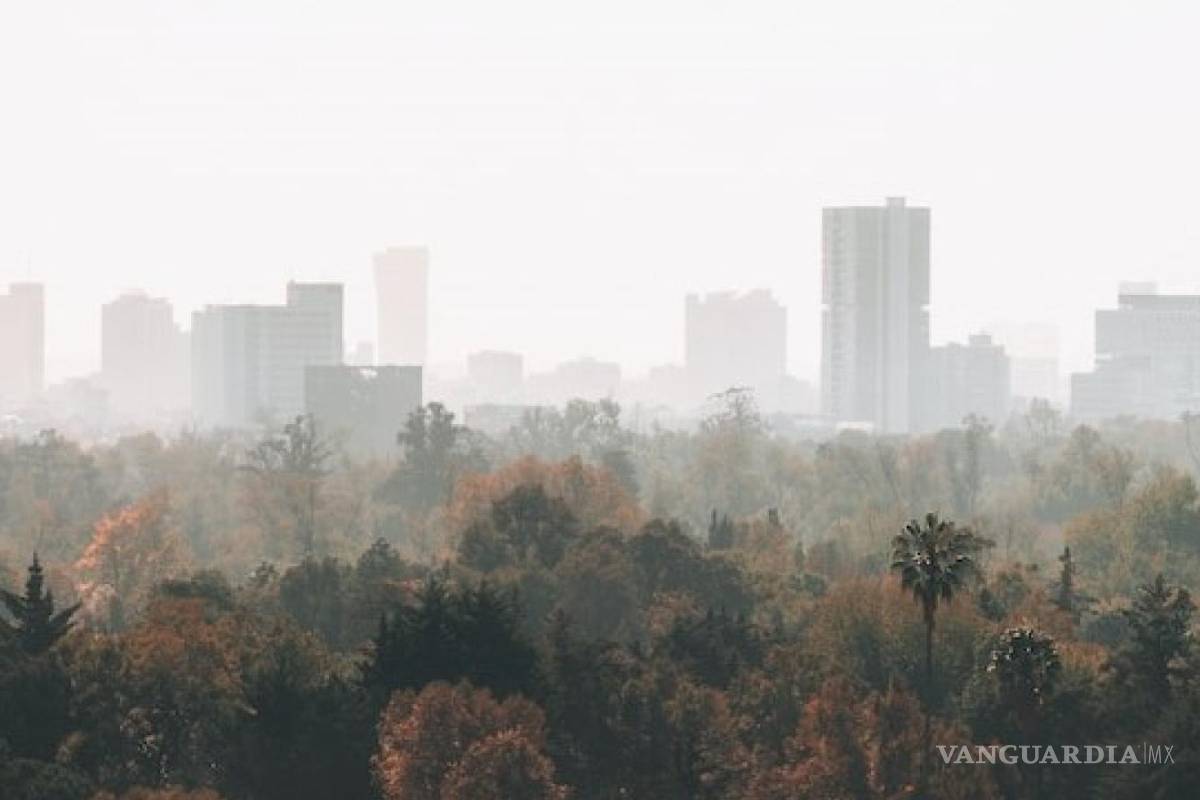 MC plantea que se reconozca en la Constitución el derecho a respira aire libre