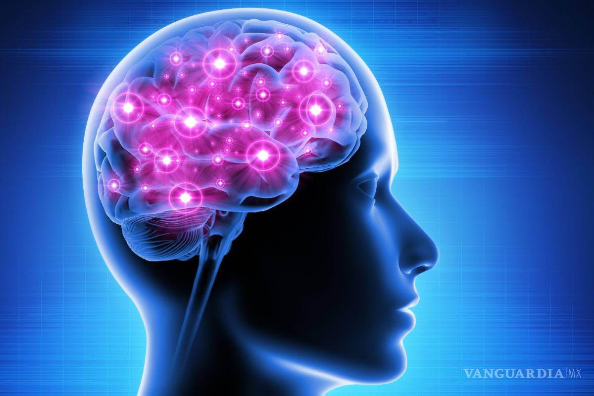 Coahuila: con musicoterapia se reactiva la memoria, la concentración, coordinación y el equilibrio, indica especialista