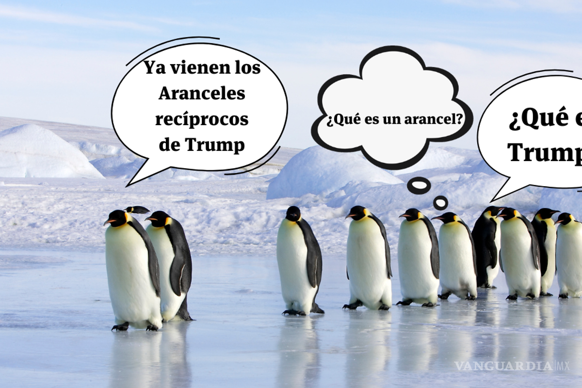 Aranceles recíprocos contra Pingüinos y Focas australianas