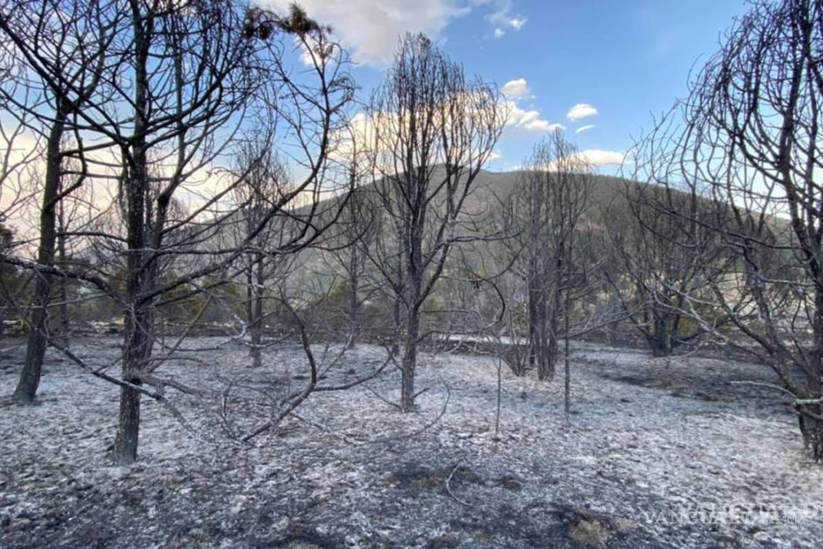 Destina Coahuila casi mil mdp para cambio climático, anticorrupción, desaparecidos y apoyos escolares