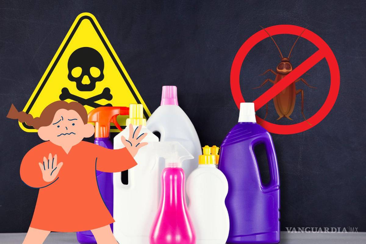 ¿Las cucarachas invaden tu hogar? Aplica este sencillo remedio casero para eliminar la plaga