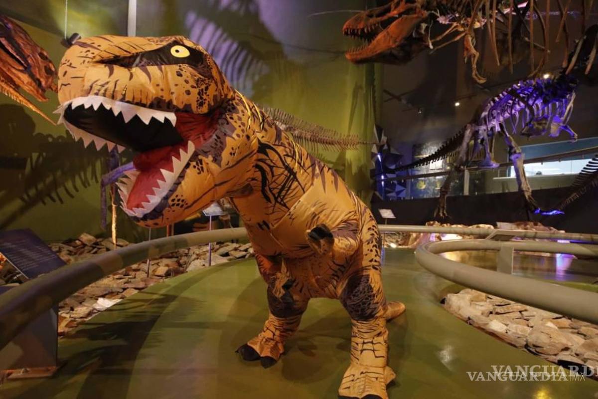 $!Braulio se ha ganado el cariño de los visitantes por su carisma.