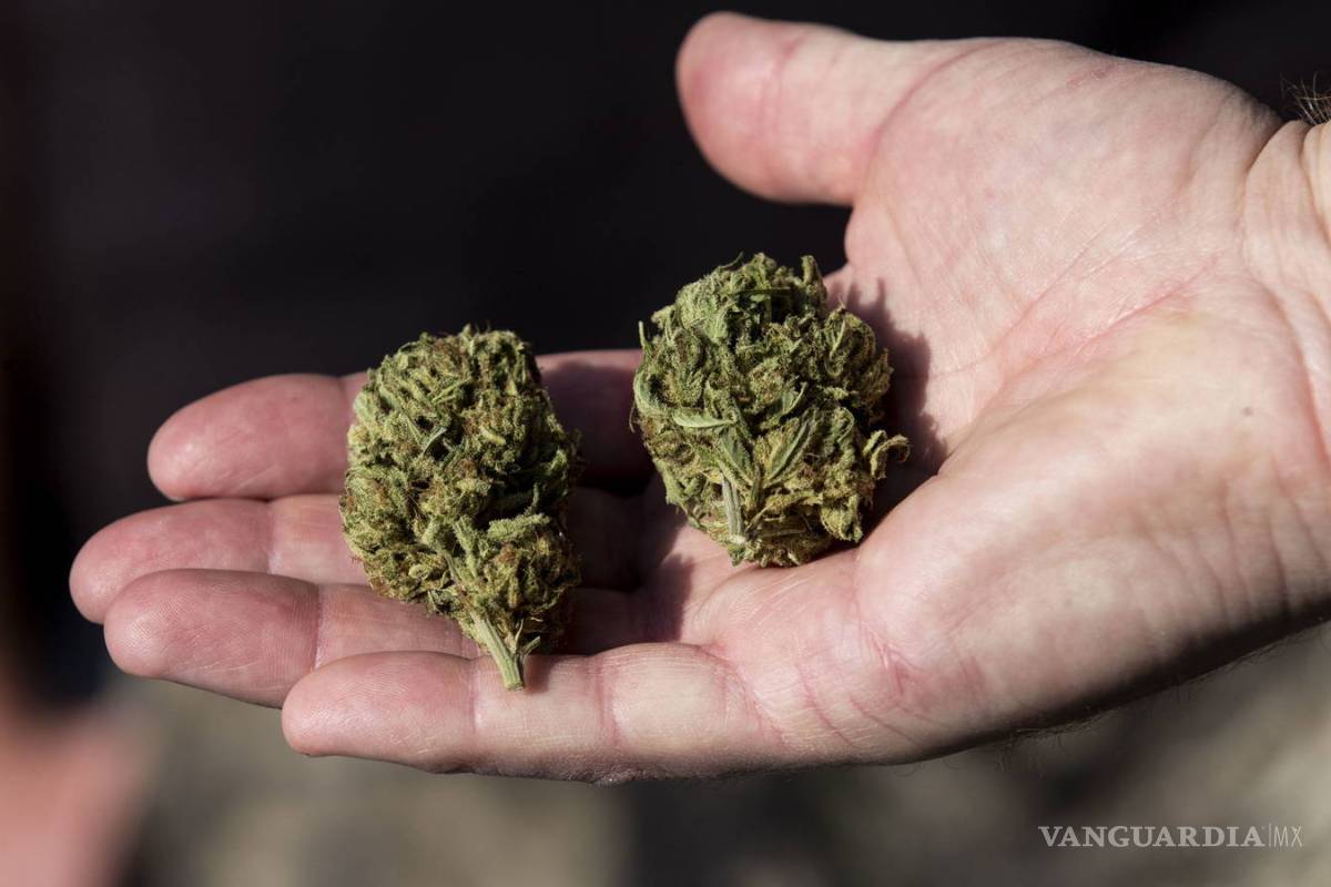 Avala la Corte al uso lúdico de mariguana