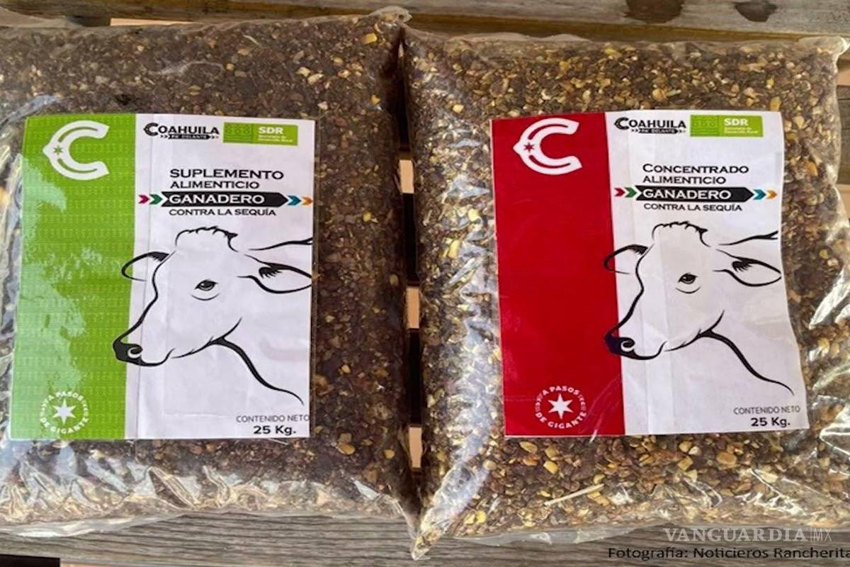 Ejidatarios de Piedras Negras, Guerrero e Hidalgo piden suplemento ganadero