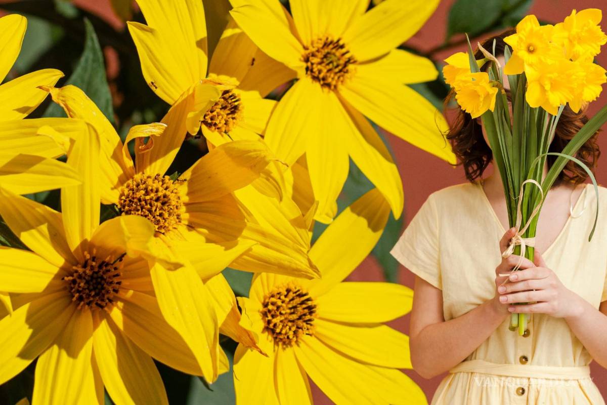 ¿Cuándo se dan las flores amarillas? Aquí te lo decimos
