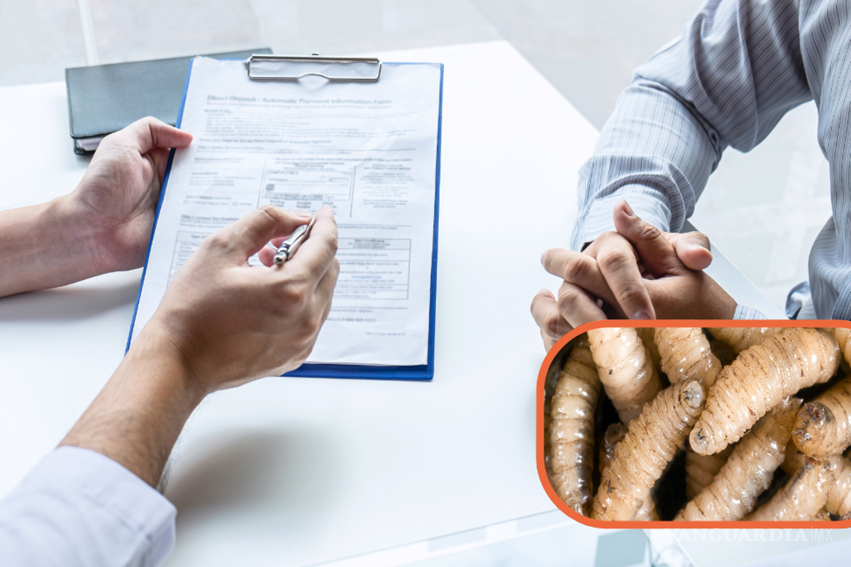 ‘Gusano barrenador no representa un problema de salud’; explica experto