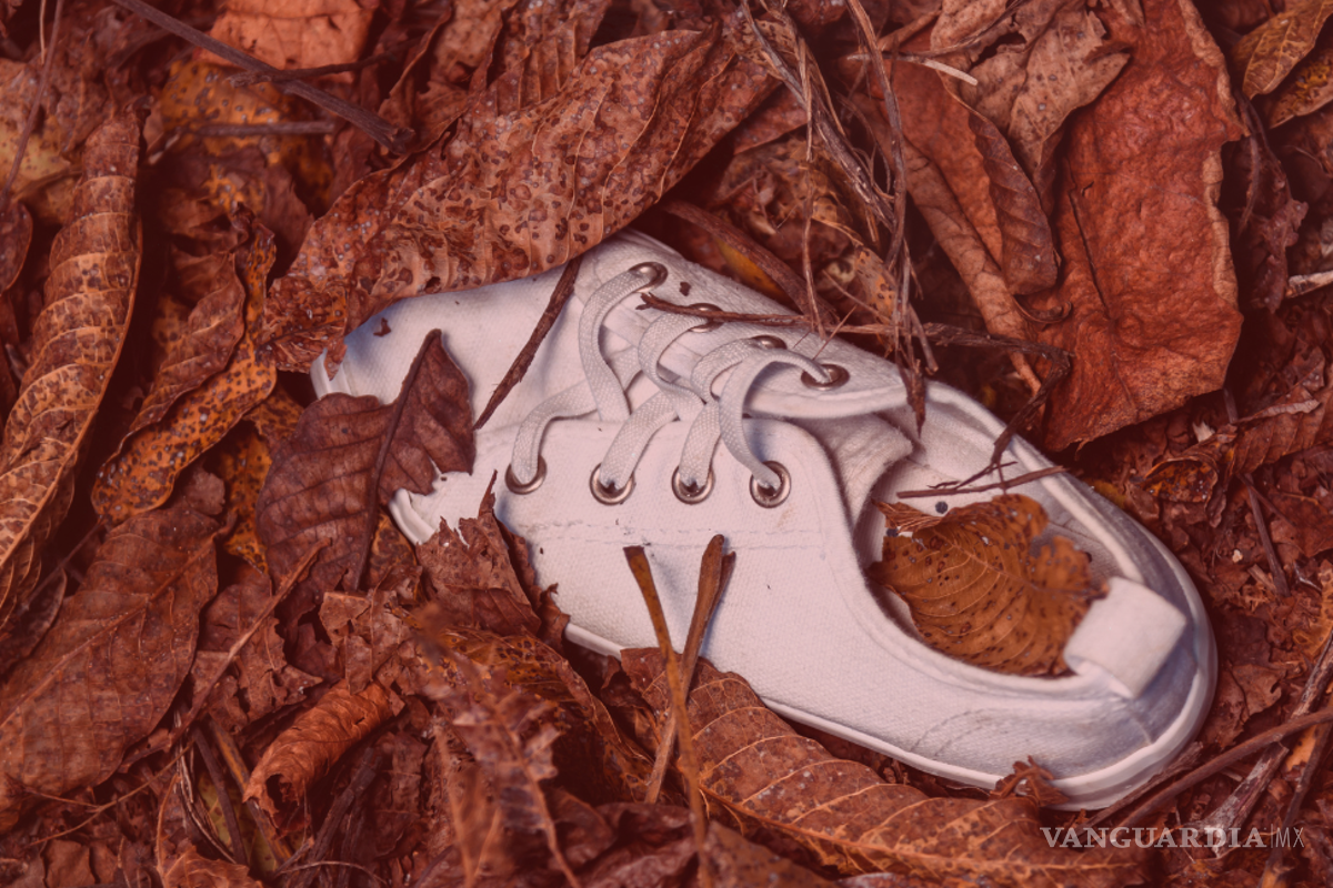 Conductores reportan tres cuerpos sin vida en la carretera Poza Rica-Cazones