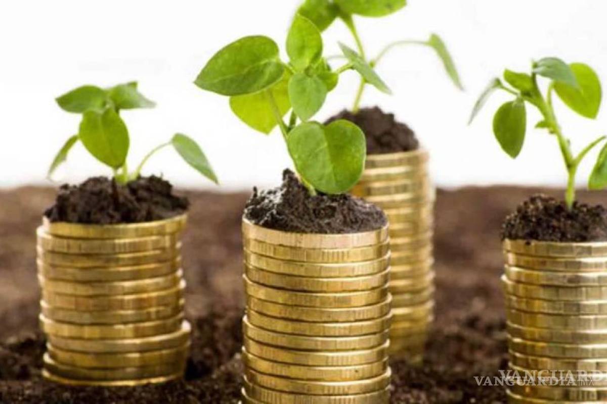 Impulsaría equidad de género una economía ‘verde’: FMI