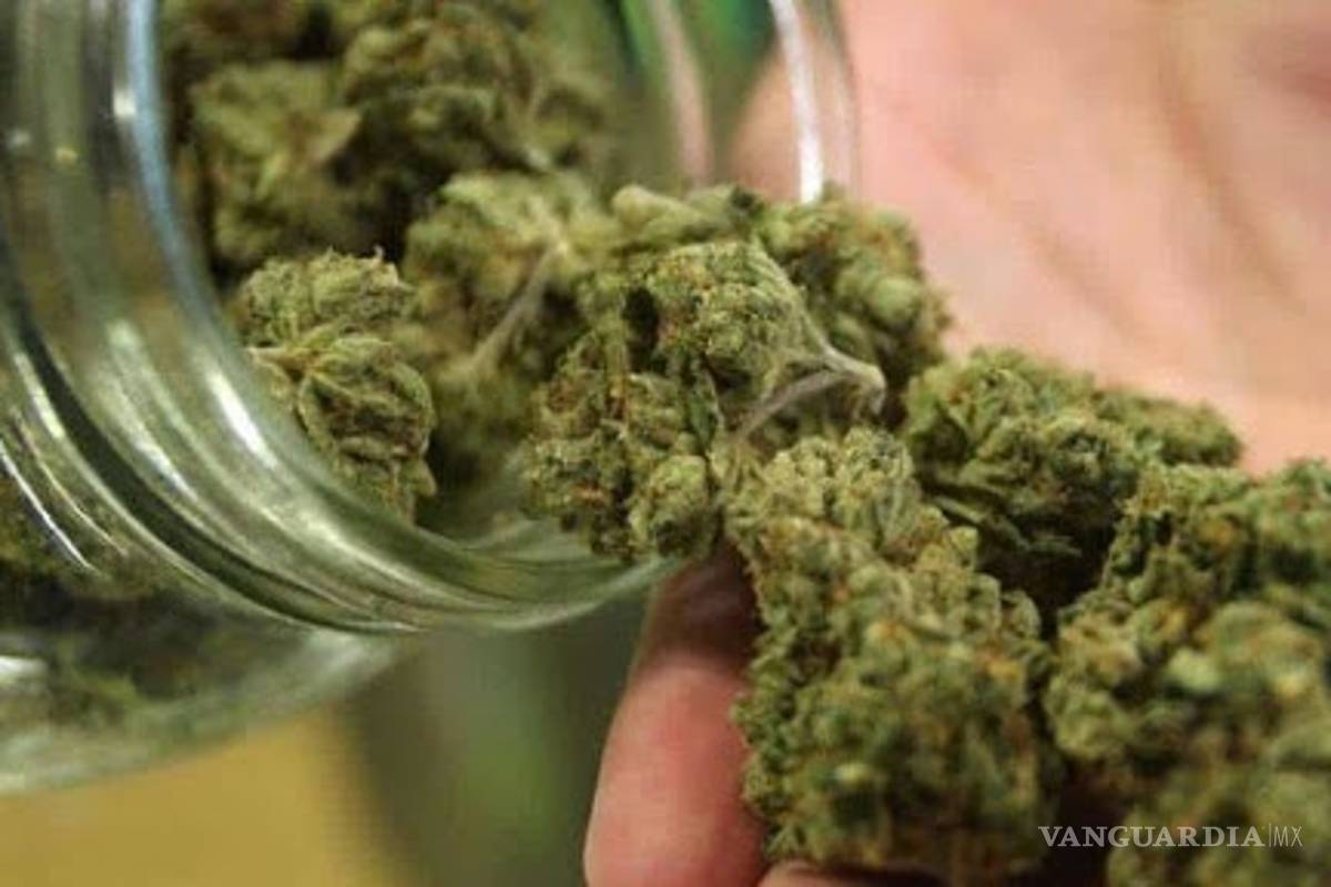Avalan uso lúdico de la mariguana en México