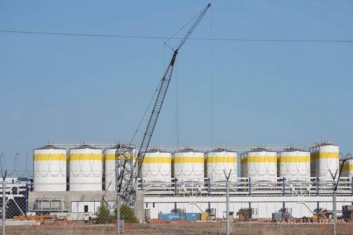 Destaca Constellation Brands sólido ejercicio fiscal