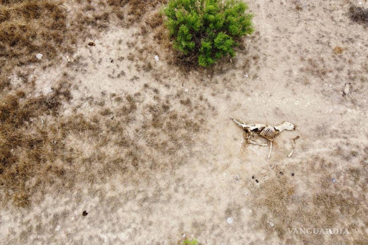 $!‘La sequía no es solamente responsabilidad de los gobiernos’.