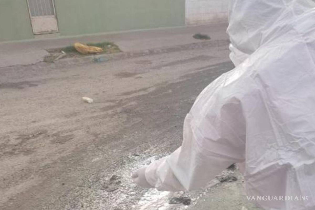 Con operativo, descacharrizan y fumigan la colonia Eduardo Guerra en Torreón