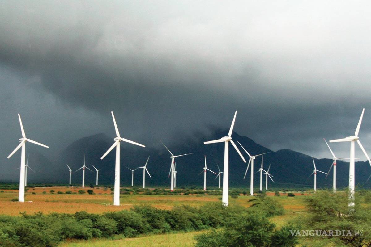 Frena de golpe la 4T las energías renovables