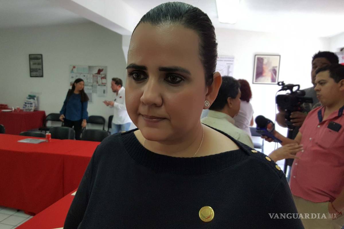 No a los decomisos de autos de procedencia extranjera: Diputada Guadalupe Oyervides