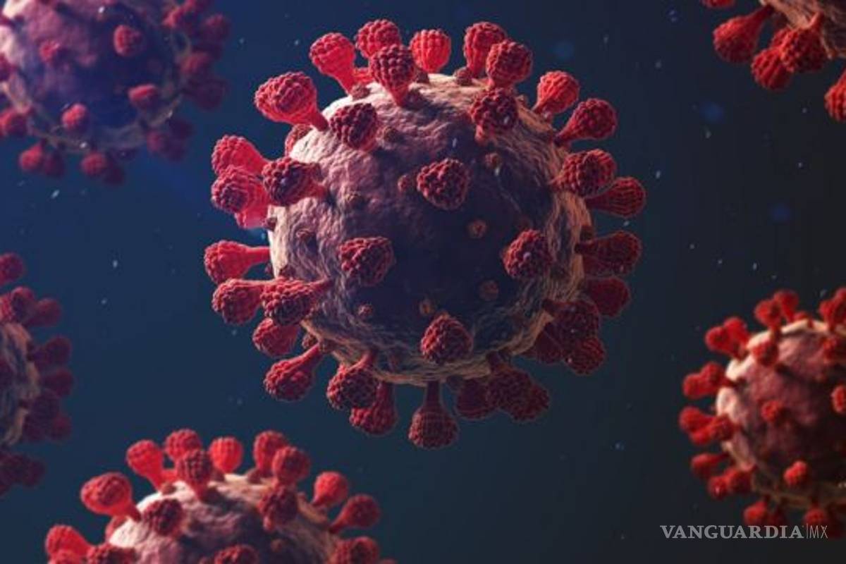 Podrían neutralizar el COVID-19 en menos de un segundo