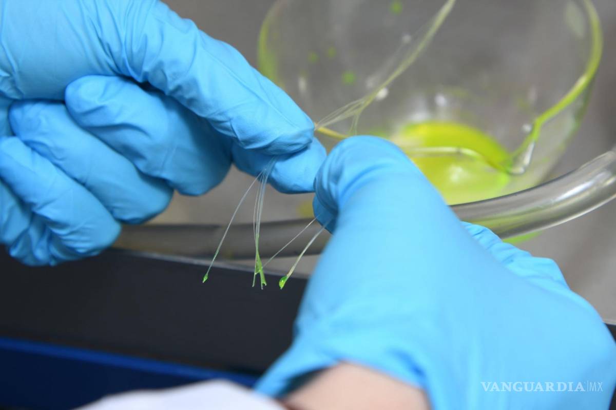 $!Investigadora Perret manipulando un haz de fibras especiales.