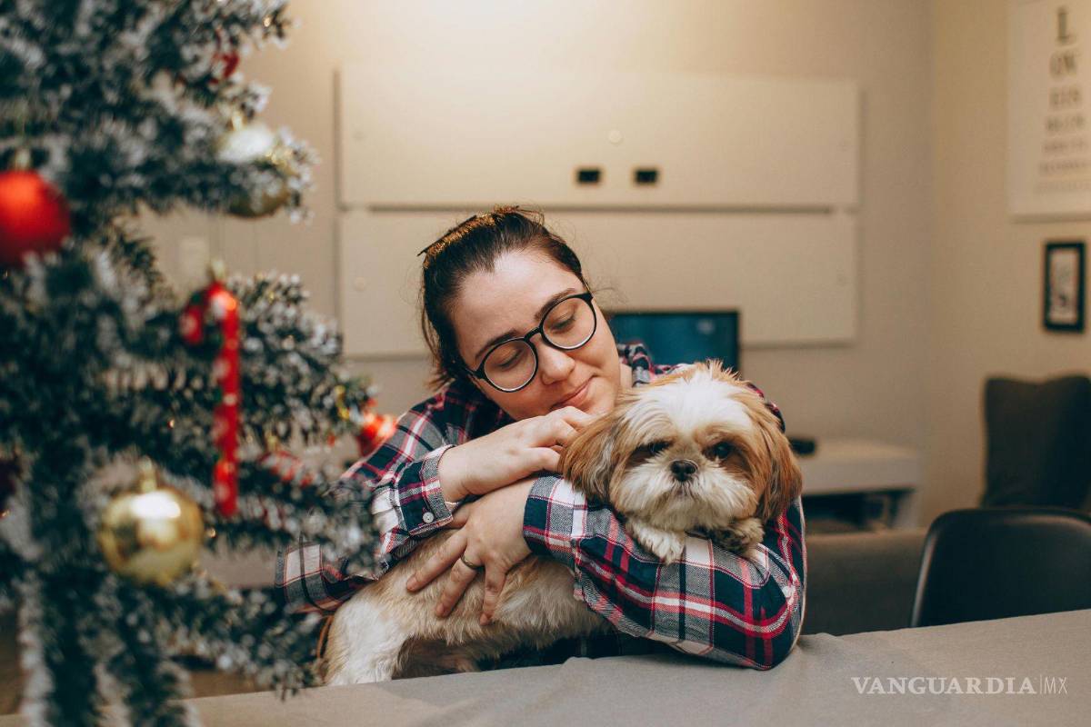 Invierno 2025: SSC recomienda estas acciones para proteger a tus mascotas del frío