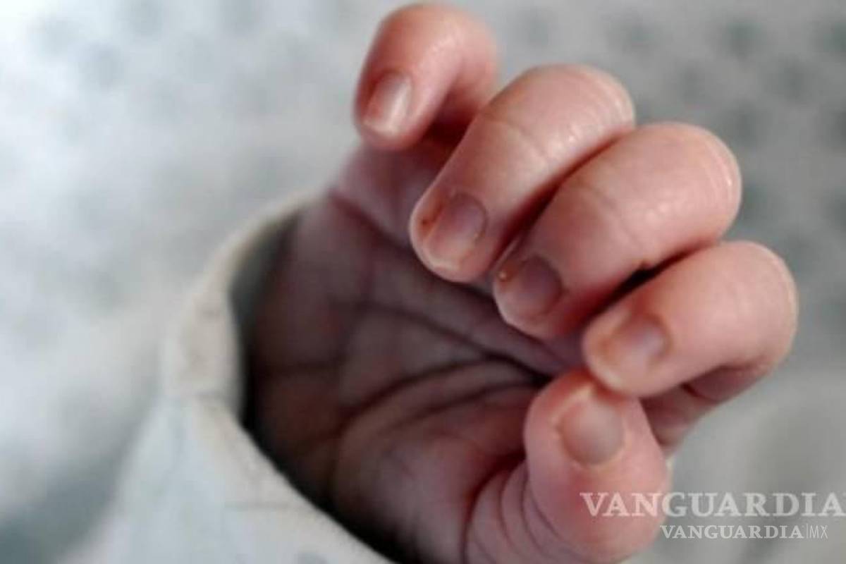 Legisladores del PAN piden a la FGR atraer caso de Tadeo