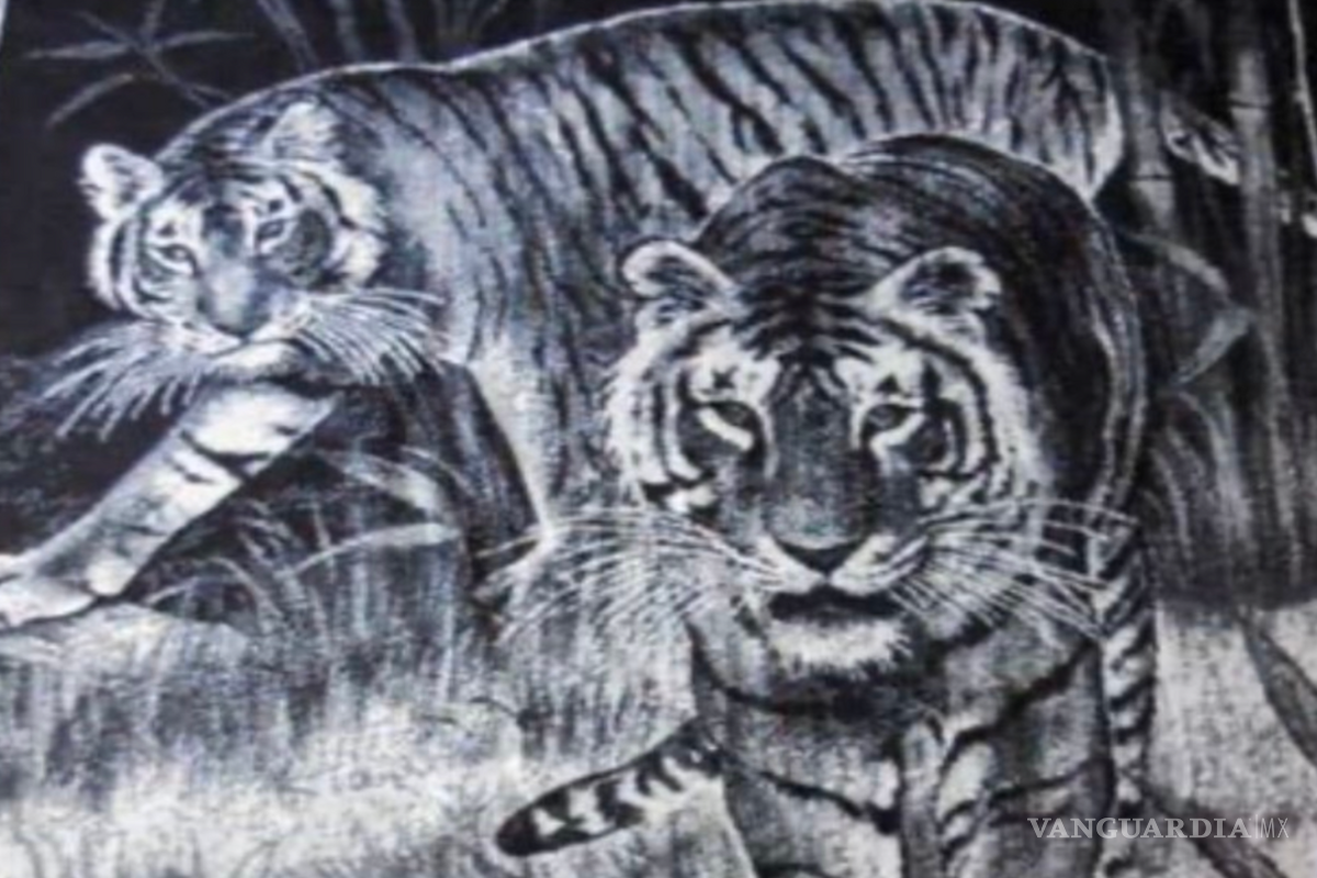 “Cobijas de Tigre”: La historia detrás del símbolo del invierno mexicano