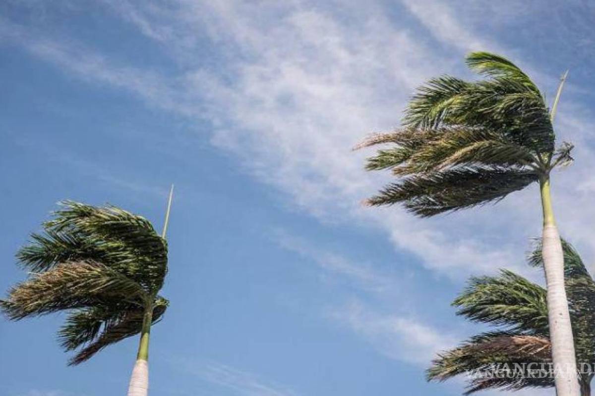 Prepárese... Entrará frente frío con vórtice de núcleo que ocasionará vientos fuertes al noroeste de México