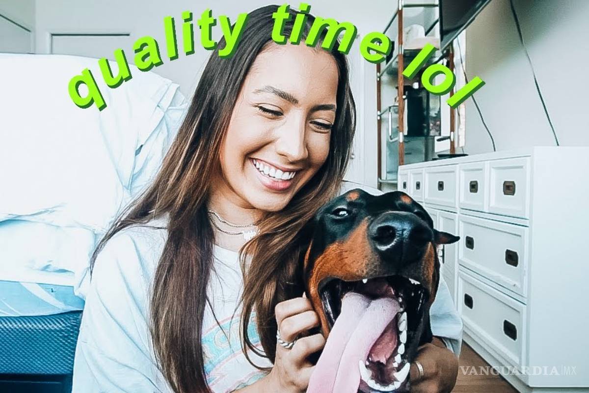 Youtuber sube por error video maltratando a su perro