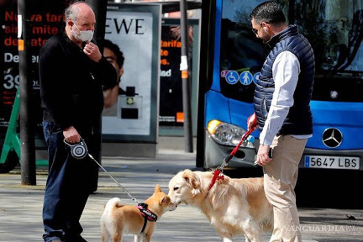 Perros son capaces de detectar personas contagiadas de COVID-19: estudio